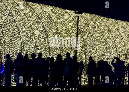 Sydney, Australie. 27 mai, 2016. "Cathédrale de lumière" à l'intérieur du Jardin botanique royal célèbre son 200e anniversaire pour le Vivid Sydney programme 2016 à Sydney. Vivid Sydney 2016 est la plus grande fête de la lumière, de la musique et des idées et se déroule du 27 mai au 18 juin 2016 Crédit : Hugh Peterswald/Alamy Live News Banque D'Images