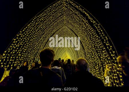 Sydney, Australie. 27 mai, 2016. "Cathédrale de lumière" à l'intérieur du Jardin botanique royal célèbre son 200e anniversaire pour le Vivid Sydney programme 2016 à Sydney. Vivid Sydney 2016 est la plus grande fête de la lumière, de la musique et des idées et se déroule du 27 mai au 18 juin 2016 Crédit : Hugh Peterswald/Alamy Live News Banque D'Images