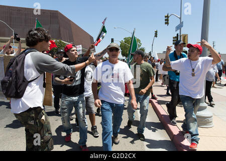 Fresno, Californie, USA. 27 mai, 2016. Narguer les manifestants et enlever le chapeau d'un partisan d'atout qui vient de quitter un rassemblement à Donald Trump le Fresno Convention Center. Crédit : John Orvis/Alamy Live News Banque D'Images