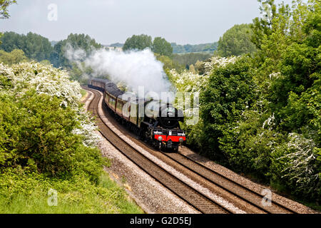 Sherrington, Wiltshire, Royaume-Uni. 28 mai, 2016. Classe A3 60103 Flying Scotsman traverse la campagne du Wiltshire sur une belle matinée ensoleillée avec les cathédrales Express comme il se dirige vers Salisbury Crédit : Andrew Harker/Alamy Live News Banque D'Images