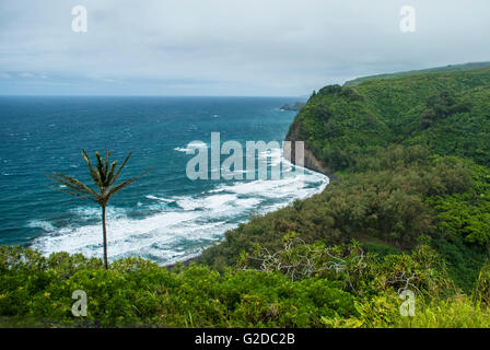 La Vallée de Pololu donnent sur l'océan montrant sur la grande île d'Hawaï. Banque D'Images