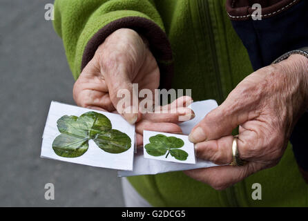 Femme âgée maintenant quatre trèfles Feuilles Banque D'Images