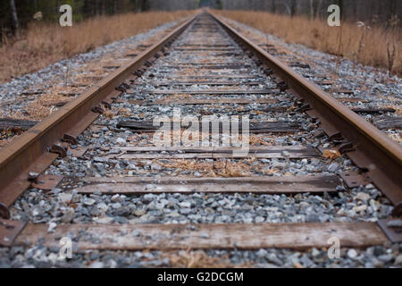 Vue en perspective d'une voie ferrée Banque D'Images