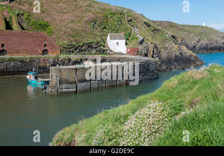 Entrée de Porthgain Harbour sur la côte de Pembrokeshire Coast National Park, West Wales, sur une journée de printemps ensoleillée Banque D'Images