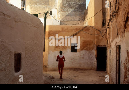 Fille et chat de ruelle, vue arrière, Fes, Maroc Banque D'Images