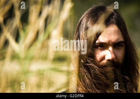 Portrait de jeune adulte Homme avec Barbe et cheveux longs Standing in Wheat Field Banque D'Images