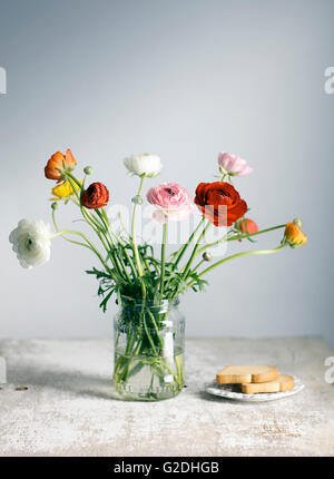 Studio Nature morte avec de belles fleurs Renoncule Persan Banque D'Images