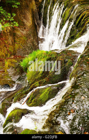 River Einion, Ceredigion, pays de Galles tombe sur une cascade près du village de fournaise et son haut fourneau du 18ème siècle Banque D'Images