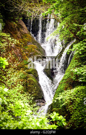 River Einion, Ceredigion, pays de Galles tombe sur une cascade près du village de fournaise et son haut fourneau du 18ème siècle Banque D'Images