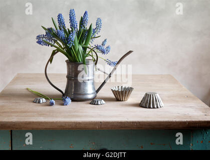 Nature morte avec raisins jacinthes disposés dans un ancien arrosoir avec de vieux moules sur une table de cuisine en bois rustique Banque D'Images