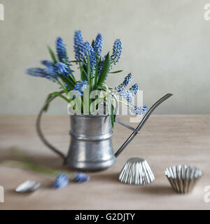 Nature morte avec raisins jacinthes disposés dans un ancien arrosoir avec de vieux moules sur une table de cuisine en bois rustique Banque D'Images