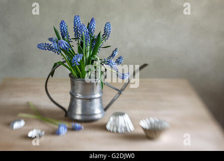 Nature morte avec raisins jacinthes disposés dans un ancien arrosoir avec de vieux moules sur une table de cuisine en bois rustique Banque D'Images