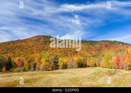 Onzième à l'automne, la montagne des montagnes Adirondack, Johnsburg, New York, United States Banque D'Images