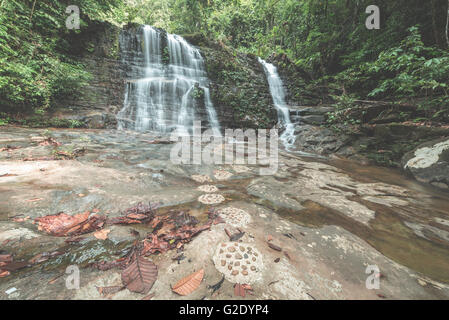 Majestic cascade dans les denses forêts tropicales de Kubah National Park, à l'ouest de Sarawak, Bornéo, Malaisie. Grand angle vue de dessous. D Banque D'Images