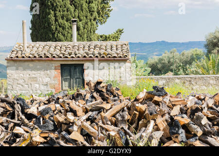 Sicilienne, avec maison ancienne et moderne, d'oliviers et d'amandiers en fleur. Banque D'Images
