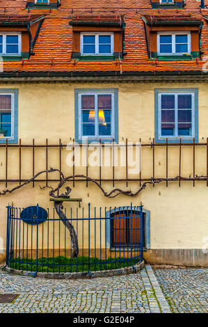 Maribor - Slovénie - Podravska Dravska ulica -accueil avec la plus vieille vigne dans le monde Banque D'Images