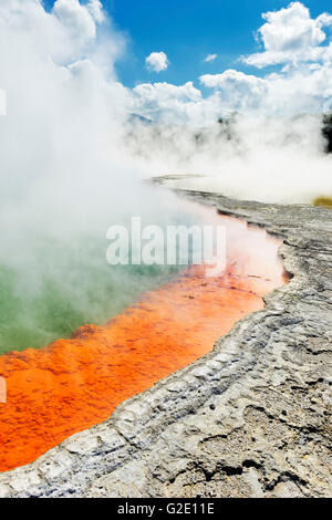 Source thermale, piscine de Champagne, Wai-O-Tapu, Rotorua, Nouvelle-Zélande Banque D'Images