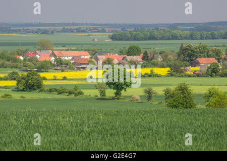 Village vallonné entre les champs colorés en germination ondulé printemps Szymanow Basse Silésie Pologne Banque D'Images