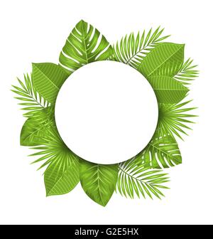 Belle carte postale d'été vert avec des feuilles tropicales pour la conception Illustration de Vecteur