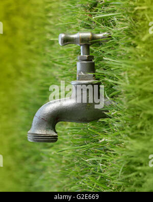 L'eau, la nature et les concepts de la vie Banque D'Images