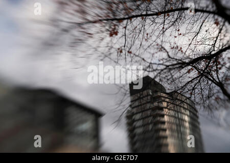 Troubles de branches d'arbres et immeubles urbains, Vancouver, Canada Banque D'Images