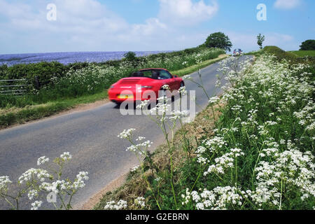 Chipping Campden, England, UK ; 29 mai 2016. Une belle journée pour être au volant d'un voiture de campagne des Cotswolds rural près de Chipping Campden, Gloucestershire, à côté des champs de lin coloré. Crédit : Andrew Lockie/Alamy Live News Banque D'Images