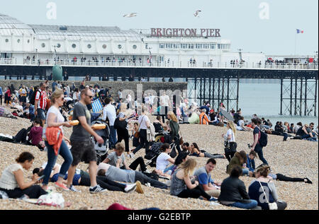 Brighton Sussex UK 29 mai 2016 - Des milliers de personnes envahissent la plage de Brighton pour profiter du temps chaud aujourd'hui qui devrait se poursuivre au cours de ce week-end férié Crédit : Simon Dack/Alamy Live News Banque D'Images