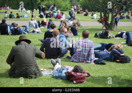 Le nord de Londres, UK 29 mai 2016. Les personnes bénéficiant d'un séjour relaxant et sunny bank holiday weekend de l'Alexandra Palace, Londres du nord Crédit : Dinendra Haria/Alamy Live News Banque D'Images