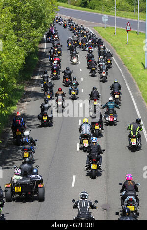 Glasgow, Royaume-Uni. 29 mai, 2016. Les Motards de toute l'Ecosse se sont réunis à Erskine près de Glasgow pour un rallye à vélo moteur à l'appui de l'hôpital pour anciens combattants Militaires d'Erskine May. Il a été estimé que plus de 1 000 motos ont pris part à un défilé autour d'Erskine avant de finir dans les motifs d'Erskine hôpital pour une après-midi de la fête de l'été. Credit : Findlay/Alamy Live News Banque D'Images