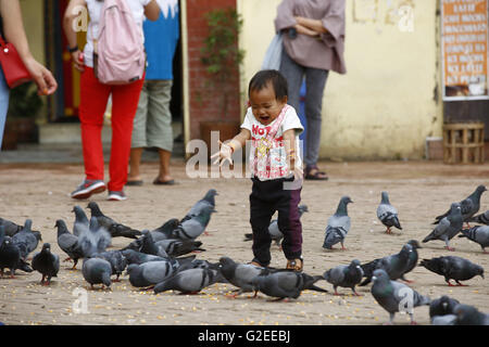 Katmandou, Népal. 29 mai, 2016. Un enfant réagit en jouant avec les pigeons à l'intérieur Stupa Boudhanath prémisse, site du patrimoine mondial de l'UNESCO à Katmandou, Népal le dimanche, Mai 29, 2016. © Skanda Gautam/ZUMA/Alamy Fil Live News Banque D'Images