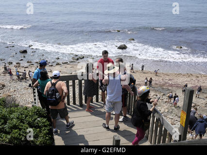 Sur le pont de partir du Mohegan Bluffs, Block Island, Rhode Island Banque D'Images