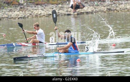 Kayakiste tchèque Josef Dostal (à droite) a remporté une course d'un kilomètre à la Fédération Internationale de Canoë (ICF) Coupe du Monde de sprint en canoë à Racice, suivi par l'Allemand Max Hoff (non représenté) et Danois Rene Poulsen (gauche) à Racice, République tchèque, le 28 mai. 2016. (CTK) Zavoral Libor/Photo Banque D'Images