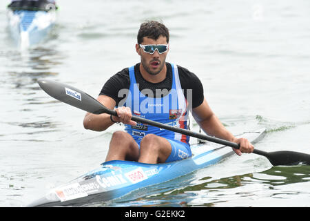 Kayakiste tchèque Josef Dostal (photo) a remporté une course d'un kilomètre à la Fédération Internationale de Canoë (ICF) Coupe du Monde de sprint en canoë à Racice, suivi par l'Allemand Max Hoff et danois Rene Poulsen à Racice, République tchèque, le 28 mai. 2016. (CTK) Zavoral Libor/Photo Banque D'Images