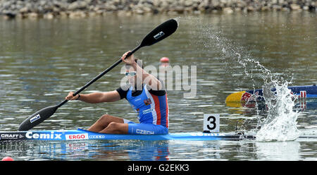 Kayakiste tchèque Josef Dostal (photo) a remporté une course d'un kilomètre à la Fédération Internationale de Canoë (ICF) Coupe du Monde de sprint en canoë à Racice, suivi par l'Allemand Max Hoff et danois Rene Poulsen à Racice, République tchèque, le 28 mai. 2016. (CTK) Zavoral Libor/Photo Banque D'Images