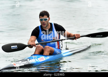 Kayakiste tchèque Josef Dostal (photo) a remporté une course d'un kilomètre à la Fédération Internationale de Canoë (ICF) Coupe du Monde de sprint en canoë à Racice, suivi par l'Allemand Max Hoff et danois Rene Poulsen à Racice, République tchèque, le 28 mai. 2016. (CTK) Zavoral Libor/Photo Banque D'Images