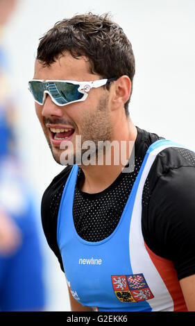 Kayakiste tchèque Josef Dostal (photo) a remporté une course d'un kilomètre à la Fédération Internationale de Canoë (ICF) Coupe du Monde de sprint en canoë à Racice, suivi par l'Allemand Max Hoff et danois Rene Poulsen à Racice, République tchèque, le 28 mai. 2016. (CTK) Zavoral Libor/Photo Banque D'Images