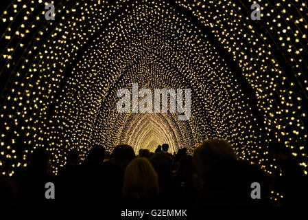 Tunnel de lumière dans les Royal Botanical Gardens, Sydney, en Australie au cours de l'assemblée annuelle d'hiver Vivid festival en mai 2016. C'est la première année, les expositions ont étendu dans les jardins qui sont adjacents à l'Opéra de Sydney Banque D'Images