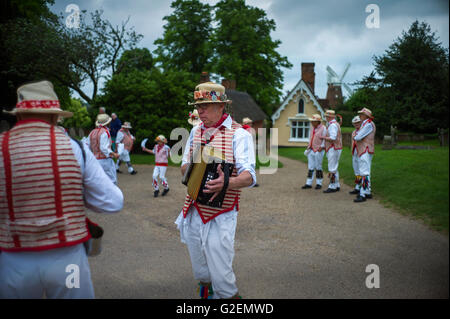 Thaxted, Essex, Royaume-Uni. 30 mai, 2016. Thaxted Morris Men dance on peut Bank Holiday (également connu sous le nom de lundi de Pentecôte) dans l'église Thaxted cour avec une toile de fond de l'ancienne Almhouses et le 19e siècle John Webb's Moulin, Thaxted. vu ici : Simon Ritchie Squire et Archiviste jouant le acordian. Spring Bank Holiday est un "séculaire" de remplacement pour l'original à la fin de mai maison de vacances connu comme le Lundi de Pentecôte. Le Lundi de Pentecôte est un jour que vint le jour après le Dimanche de Pentecôte, qui a célébré le don de l'Esprit Saint à l'église le jour de la Pentecôte. Crédit : BRIAN HARRIS/Alamy Live News Banque D'Images