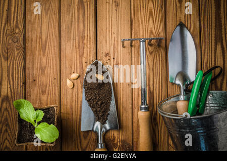 La nature morte aux germes et l'outil de jardin, la vue de dessus Banque D'Images