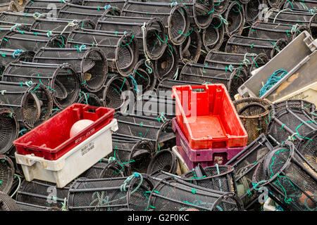 Des casiers à homard empilés et caisses en Glengarriff Harbour, La Baie de Bantry, Péninsule de Beara, comté de Cork, Province de Munster, Irlande. Banque D'Images