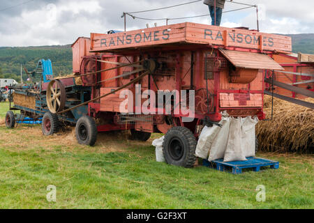 Batteuse Ransomes à un véhicule ancien et de vapeur dans le Nord du Pays de Galles rally Corwen Banque D'Images