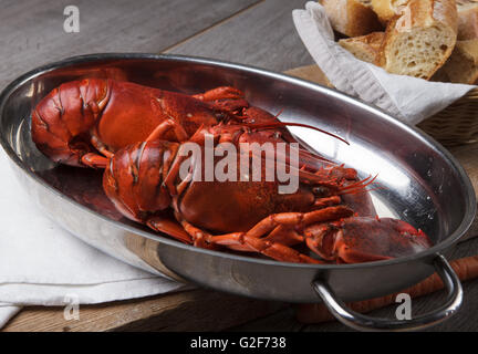 Les homards fraîchement préparé servi entier pour le dîner Banque D'Images