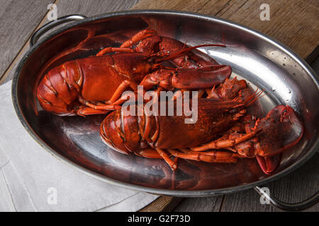 Les homards fraîchement préparé servi entier pour le dîner Banque D'Images