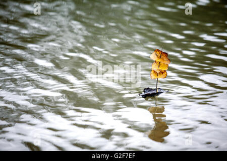 L'écorce des arbres Simplte avec bateau voiles formés de feuilles baignade en rivière Banque D'Images