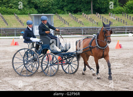 Parcours de la course de cheval de chariot international coach course à pied, Allemagne Banque D'Images