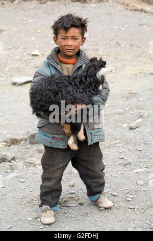 Petit garçon tibétain avec une chèvre entre ses mains. Tibet, Chine. Banque D'Images