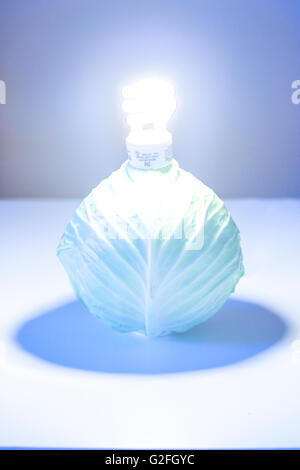 Une ampoule fluorescente compacte et d'un chou symbolisant l'énergie verte renouvelable Banque D'Images