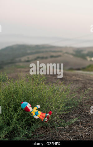 Doll pose sous Bush Banque D'Images