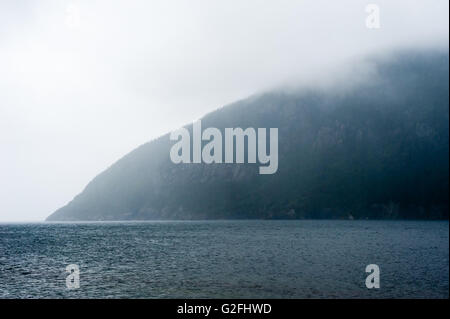 Bordure de la forêt et les falaises de la montagne de l'eau réunion par temps brumeux et pluvieux, à Terre-Neuve, Canada. Banque D'Images