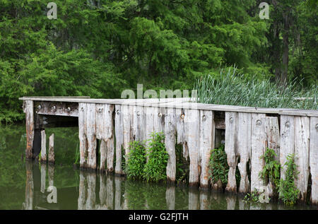 Ancien quai traversé par les intempéries sur le rivage du lac Martin en Louisiane Banque D'Images